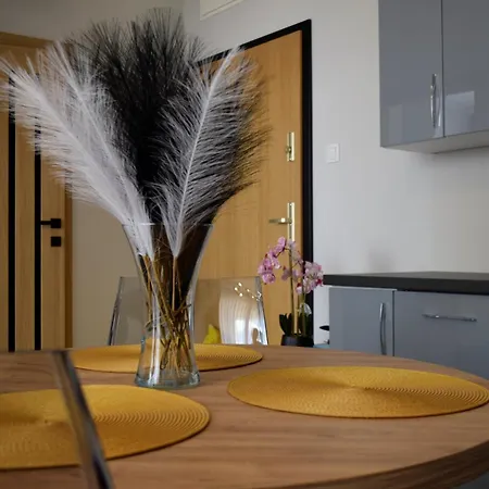 Apartament Nad Portem *